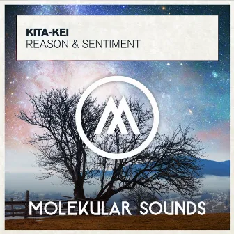 Reason & Sentiment by Kita-Kei