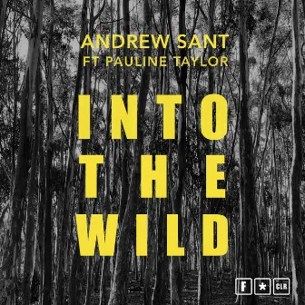 Into The Wild by Pauline Taylor