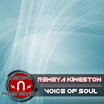 Voice of Soul by Remeya Kingston