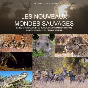 Les nouveaux mondes sauvages (Bande originale de la série télévisée) by Renaud Barbier