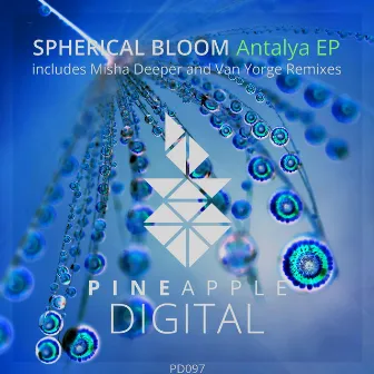 Antalya by Spherical Bloom