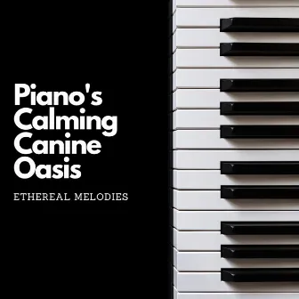 Piano's Calming Canine Oasis: Ethereal Melodies by Spa Music For Dogs