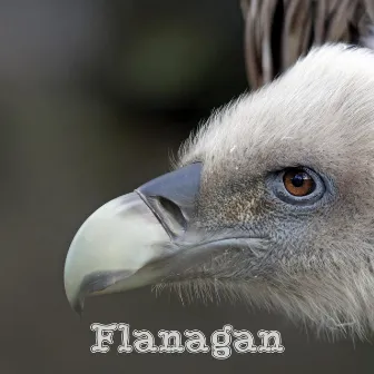 Flanagan by Flanagan