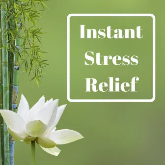 Instant Stress Relief - Restful Oasis of Zen Garden, Magical Music for Positive Attitude by Kurt Oasis