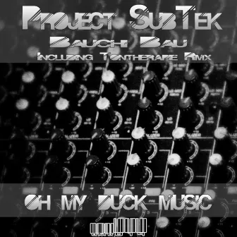 Bauchi Bau by Project Subtek