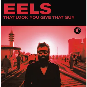 That Look You Gave That Guy by Eels