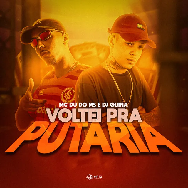 Voltei pra putaria