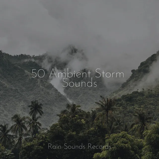 50 Ambient Storm Sounds