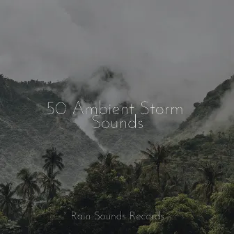 50 Ambient Storm Sounds by Relajacion Del Mar