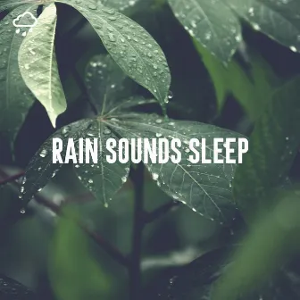 Rain Sounds Sleep by Relaxing Rain Recordings