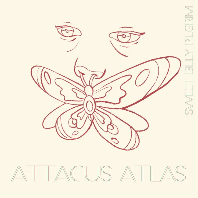 Attacus Atlas