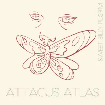 Attacus Atlas by Sweet Billy Pilgrim