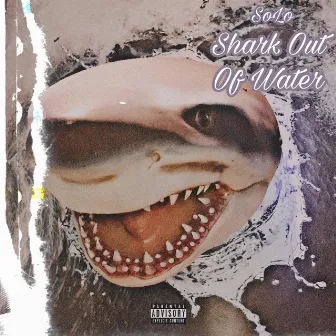 Shark Out Of Water by Solo