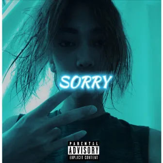 SORRY by Amu