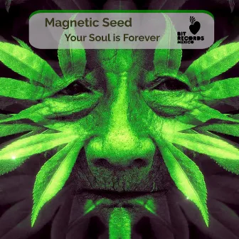 Your Soul Is Forever by Magnetic Seed