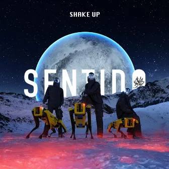 Shake Up by Sentido