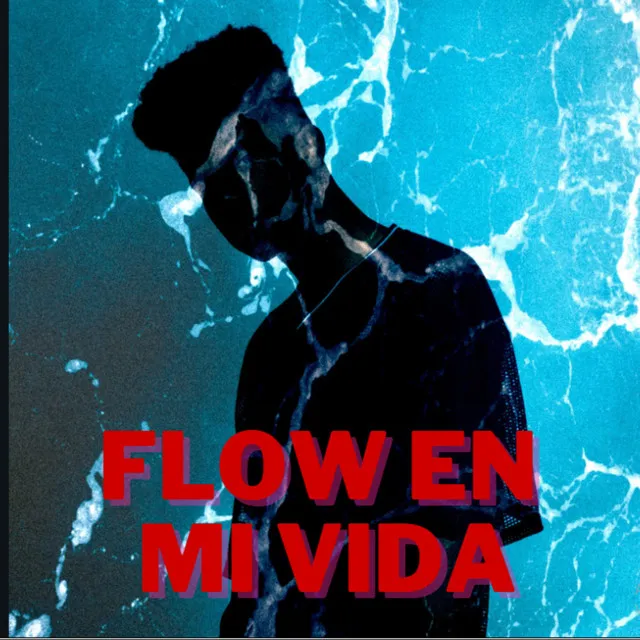 Flow en Mi Vida