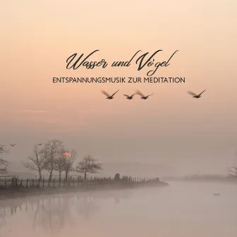 Wasser und Vögel: Entspannungsmusik zur Meditation by Sammlung Ruhige Instrumentalmusik