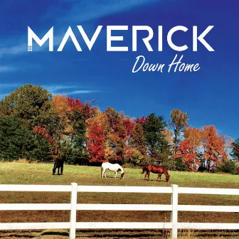 Down Home by Maverick