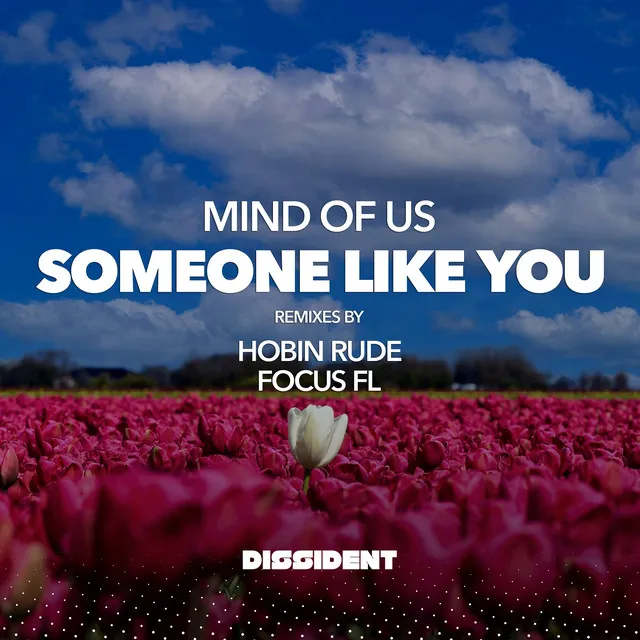 Someone Like You - Hobin Rude’s Deep Dub Radio Edit