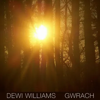 Gwrach by Dewi Williams