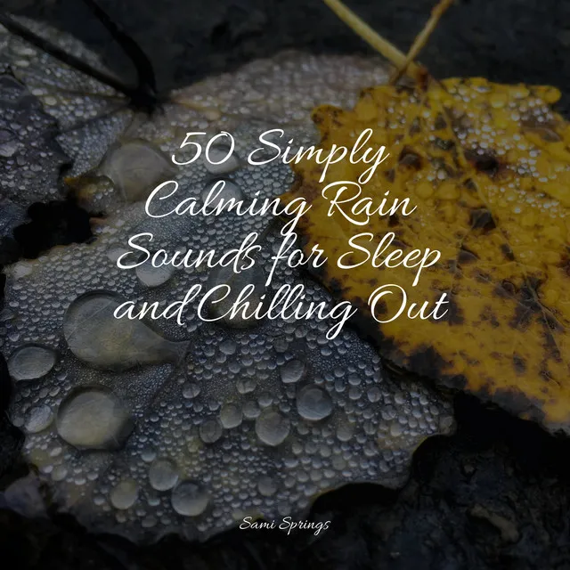 50 Simply Calming Rain Sounds for Sleep and Chilling Out