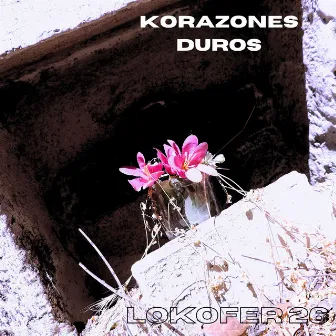 Korazones Duros by LOKOFER 26