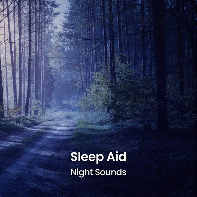 Sleep Aid Night Sounds