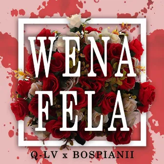 WENA FELA by Q-LV