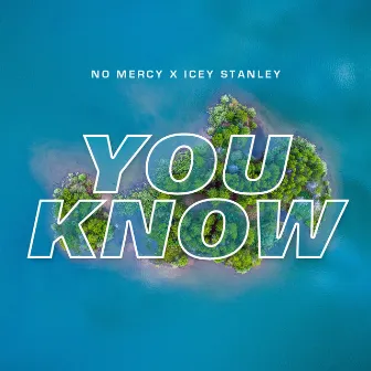 You Know by DJ No Mercy