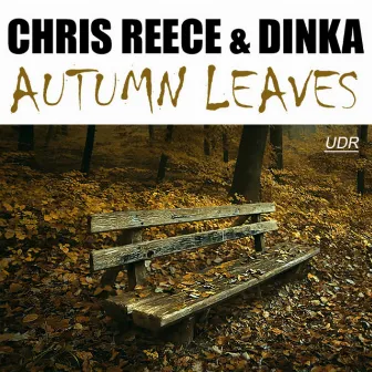 Autumn Leaves by Chris Reece