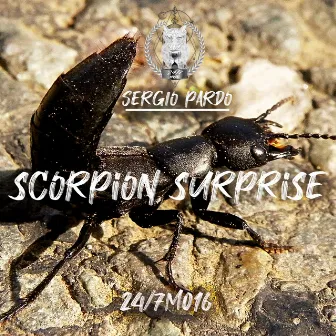 Scorpion Surprise by Sergio Pardo