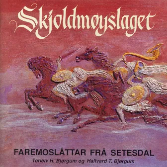 Skjoldmøyslaget by Hallvard T. Bjørgum