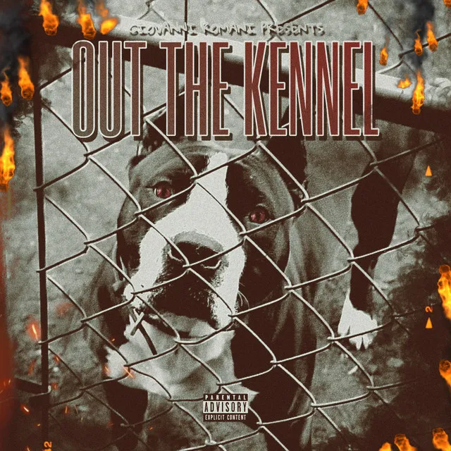 Out The Kennel