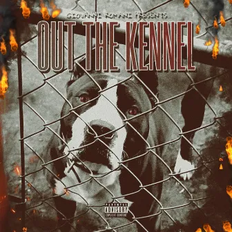 Out The Kennel by Giovanni Romani