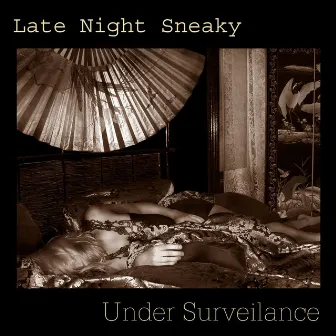 Under Surveilance by Late Night Sneaky