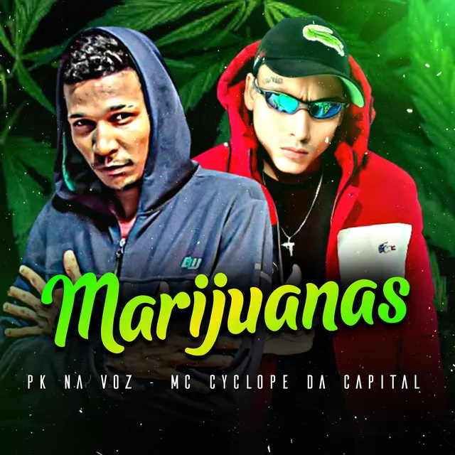 Marijuanas