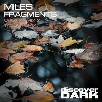 Fragments by Miles