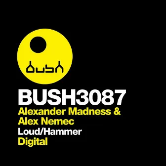 Loud / Hammer by Alexander Madness