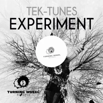 Experiment by Tek-Tunes