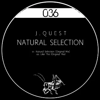 Natural Selection by J.Quest