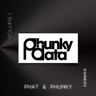 Phat & Phunky, Vol. 1 by Disco Ball'z