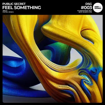 Feel Something by Public Secret