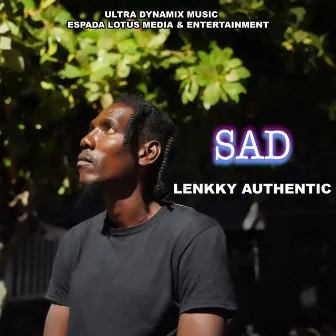 Sad by Lenkky Authentic