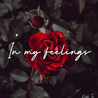 In My Feelings by Kidd Te'