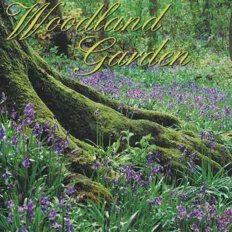 Woodland Garden by George Jamison