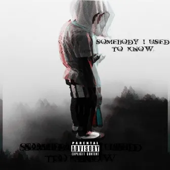 Somebody I Used To Know by SevenTwo Jd