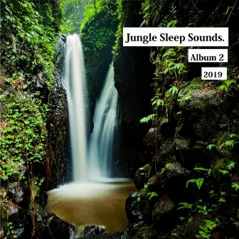 Jungle Sounds for Relax by Jungle Sleep Sounds