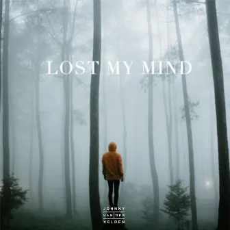 Lost My Mind by Johnny Van Der Velden