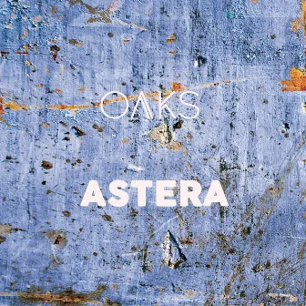 Astera by Oaks